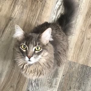 Meet your Posher, Kim